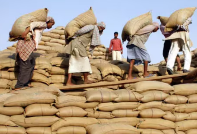 मंडियों में धान की आवक 100 लाख मीट्रिक टन के पार, 97…