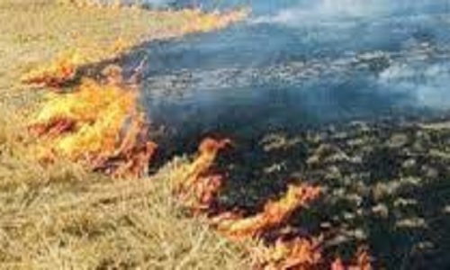 पंजाब मॉडल’ को केंद्र ने किया मंज़ूर