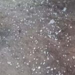 Haryana Weather Update: हरियाणा के 10 जिलों में बारिश-ओलावृष्टि