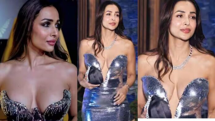 सिल्वर डीप गाउन में Malaika Arora ने बढ़ाई इंटरनेट की धड़कनें, लुक हुआ वायरल