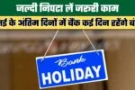 हरियाणा में 24 साल बाद वोटर लिस्ट का बड़ा पुनरीक्षण अभियान, घर-घर जाकर होगा सत्यापन