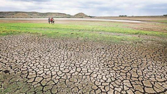 Business News : भारत की कृषि मूल्य नीतियों में बदलाव की जरूरत : वित्त मंत्रालय