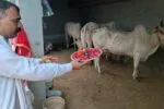 नालियों के पानी से बनाया घर, मजदूरी की कमाई से खड़ी की छत… शिव नगर और मुजेसर में नोटिस के बाद दहशत, 700 परिवारों की आंखों में बेघर होने का डर