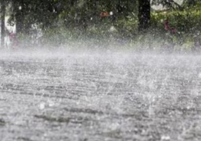 पंजाब के 7 ज़िलों में भारी बारिश की चेतावनी, IMD ने…