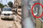 क्या टीका लगवाने के बाद भी फैल सकता है लंपी रोग? नारायणगढ़ की गौशाला में मिले संक्रमित पशु