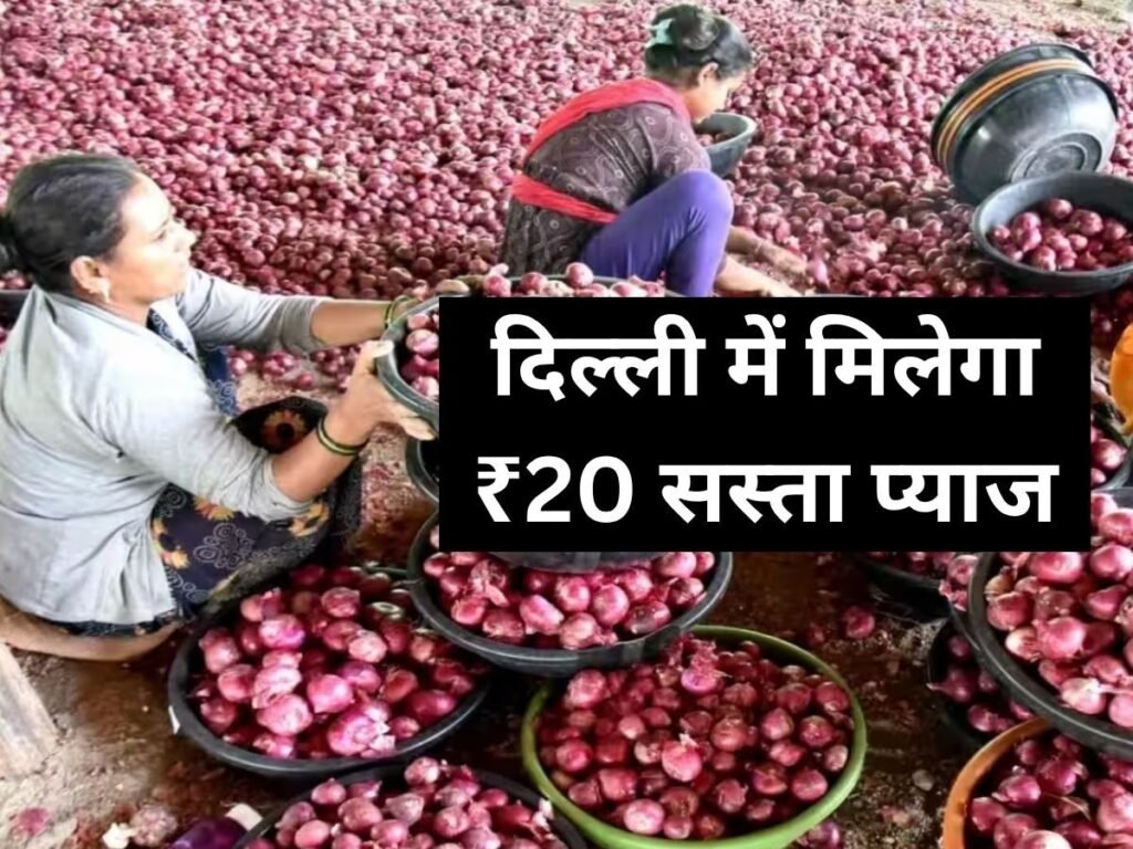 दिल्ली-NCR में बिकेगा 20 रुपये सस्ता प्याज, केंद्र सरकार का अनोखा प्लान, जानें कब से मिलेगा