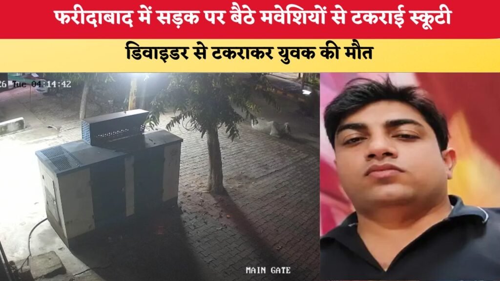 MDU ने मई 2026 की परीक्षाओं के नतीजे किए घोषित, ऐसे करें चेक