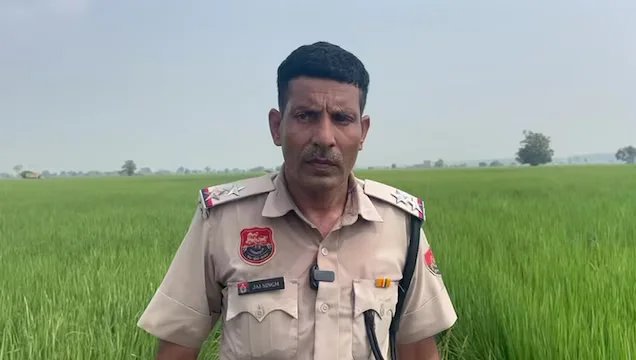 हांसी में खेत में बने कमरे की छत पर बॉक्सर युवक की हत्या, दोस्त समेत कई युवकों पर आरोप, शराब पार्टी कर रहे थे