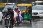 क्या आपको भी नहीं हो रहा होम्योपैथिक दवा से फायदा? 99% मरीज करते हैं गलती, अंबाला की डॉक्टर से जानिए