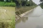 बच्चे ने गलती से निगल लिया सिक्का, बटन या खिलौने का कोई पार्ट, तुरंत करें ये काम, जानें डॉक्टर की सलाह