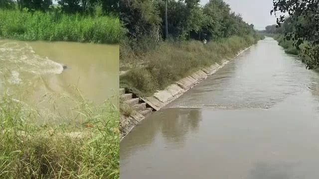 हरियाणाः बहादुरगढ़ में संदिग्ध हालात में मिले दो शव, महिला ने सूट पहना हुआ, पुरुष टीशर्ट और अंडरवियर में, पुलिस कर रही जांच