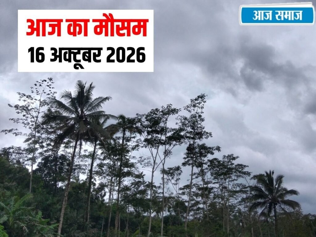 IMD Weather Update: दिल्ली में आंधी-तूफान का अलर्ट, पहाड़ों में बर्फबारी, जानें हरियाणा, पंजाब, हिमाचल का मौसम | National