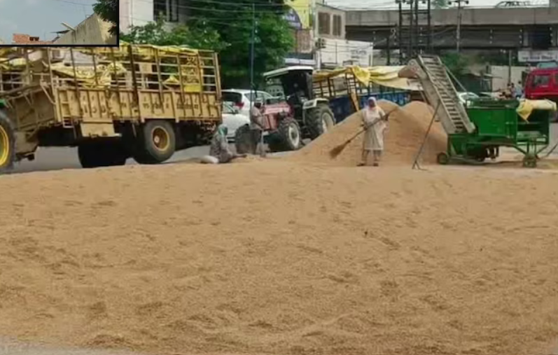 पंजाब में आज से धान की सरकारी खरीद शुरू, खन्ना मंडी…