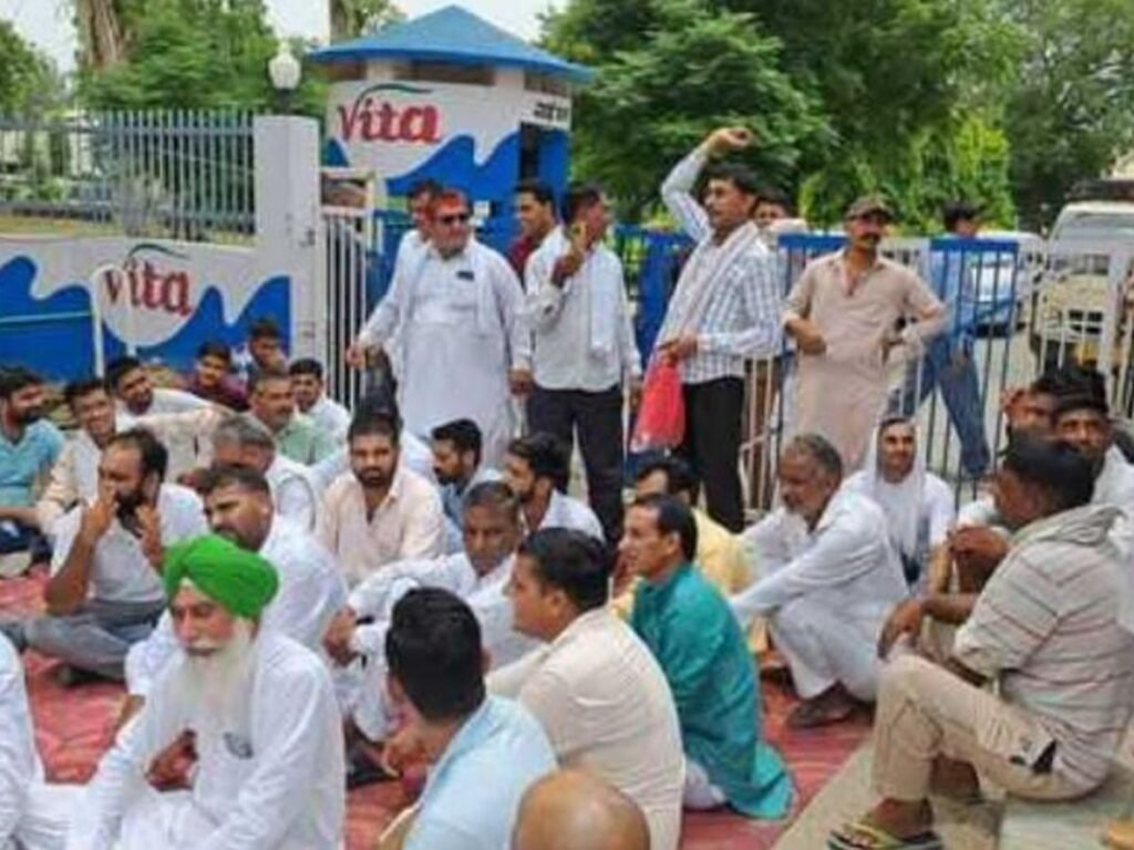 सिरसा में दूध का रेट बढ़ाने की मांग, पशुपालक 3 दिन नहीं करेंगे दूध की आपूर्ति