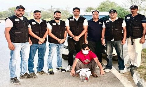 हरियाणा STF को बड़ी सफलता: 5 लाख रुपए के इनामी मोस्ट वांटेड आरोपी को दबोचा